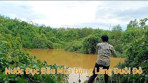 Câu Cá Suối Rạt Vịnh Có Nhiều Lăng Đuôi Đỏ/Tập 65/Hòa Vlog 934/Hành Trình Truy Tìm Cá khủng.