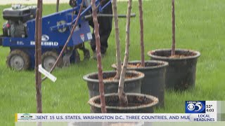 New Leaf Foods Orchard Installation at Green Bay Schools