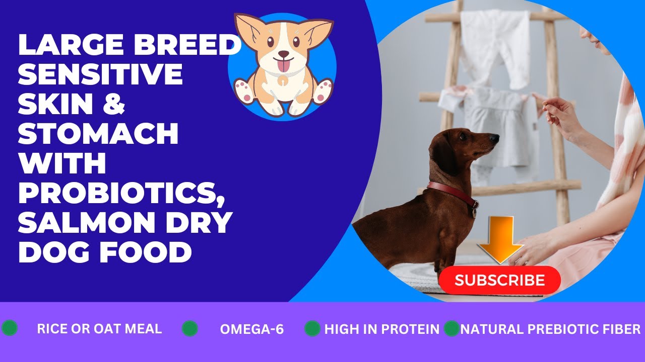 Image showcasing Purina Pro Plan Large Breed Sensitive Skin & Stomach with Probiotics ...