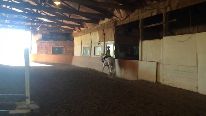 Chit Chat AKA Miss Kitty - Valley View Acres