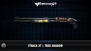 CFHD : Ithaca 37 | Tree Shadow