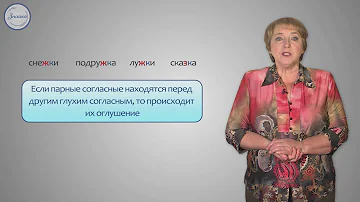 Русский 3 Правописание проверяемых букв согласных в корне слова