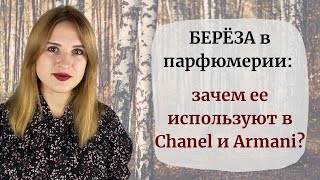 видео: Осенние ароматы: парфюмы с нотой березы. Как пахнет береза в парфюмерии? Ароматы Armani, Chanel и др картинка: Осенние ароматы: парфюмы с нотой березы. Как пахнет береза в парфюмерии? Ароматы Armani, Chanel и др