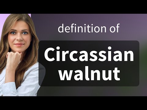 Circassian walnut •