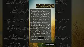 Beautiful lines #quotes #muslimcontent #islamicquotes #bestquotes #islamicreminders #goldenwords