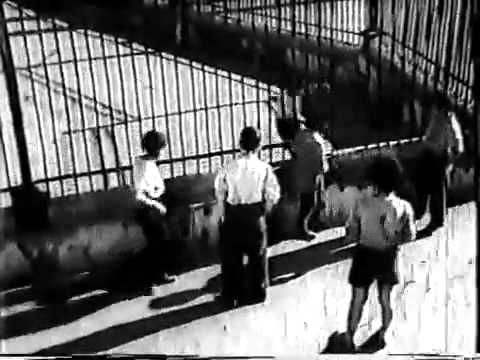 სხვისი შვილები - ვინ არის სიმპატიური?!