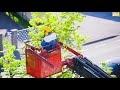 Tree Trimming Service In Phoenix AZ 602 671 022 Tree Trimming Service In Phoenix AZ 602 671 022