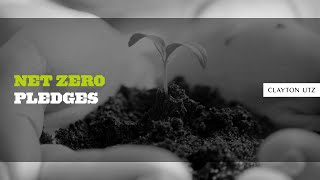 Net Zero Pledges