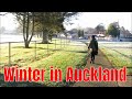 What is winter like in Auckland? | 奥克兰的冬天有多冷？