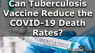 Can the Tuberculosis Vaccine Reduce the COVID-19 Death Rates?