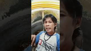 Download Lagu clurit cinta#A Six Shop MP3