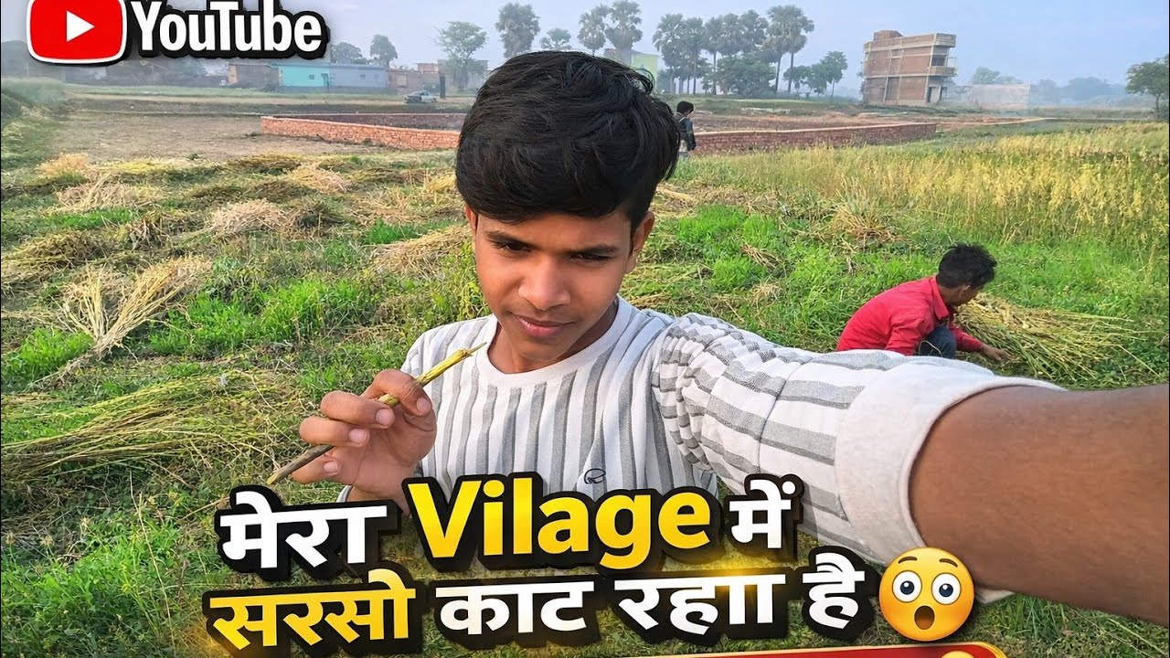 मेरा Village में सरसों काट रहा हूँ 😲 | Village Life Vlog | Heeravlogger Everyday New Vlogs