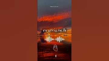 ماهر المعيقلي/وَلَسَوْفَ يُعْطِيكَ رَبُّكَ فَتَرْضَى..تلاوة هادئة من سورة الضحي..أرح قلبك 🌺💯❄️💯🍒