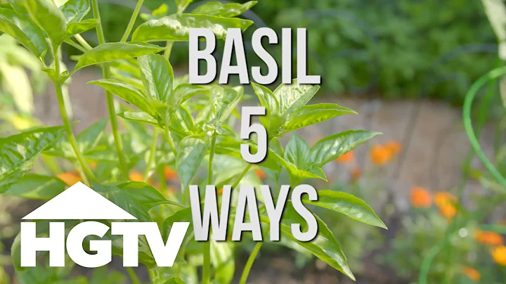 Easy Does It: 5 Ways to Use Basil | HGTV