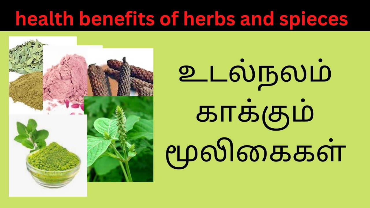 Medicinal herbs and their uses Power of Herbs and Spices YouTube