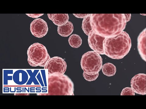 Thumbnail: 'NEVER BEEN STRONGER’: Johnson & Johnson leader touts latest innovations