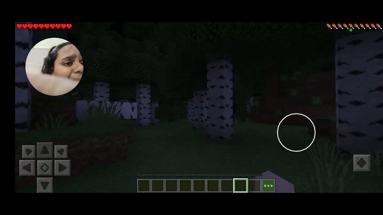 craft World VIP Game Part 9 - YouTube