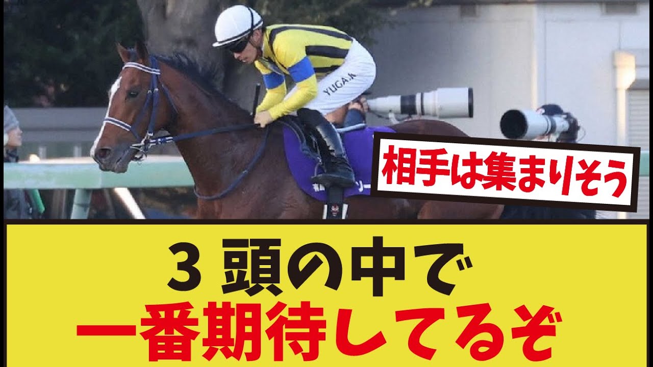 23世代三馬鹿の種牡馬生活が楽しみすぎる」に対するみんなの反応集