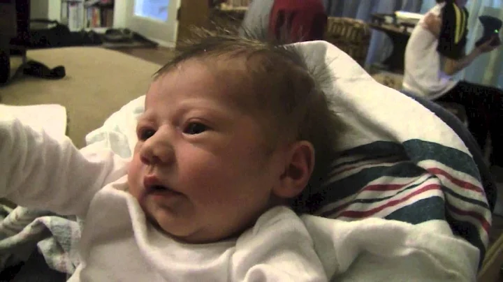 Lila Anne Benedetto