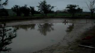 you sheng-koi diary20100611-1.MPG