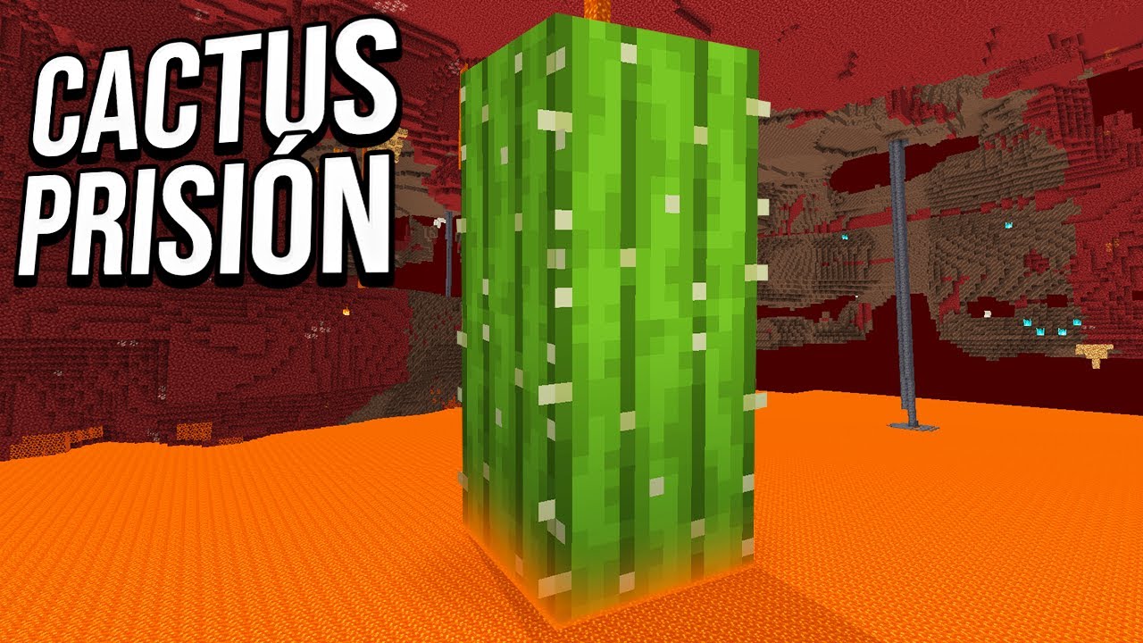 LA PRISION DEL CACTUS.