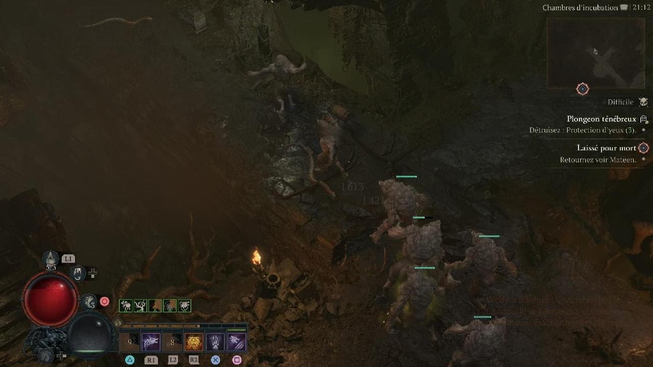 Diablo IV Wolfy atteint le Level 60