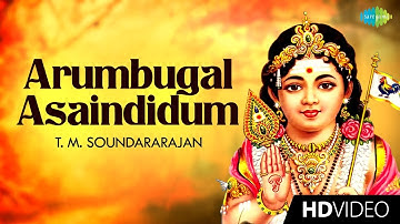 Arumbugal Asaindidum - Video Song | Lord Murugan | T.M. Soundararajan | Devotional | HD Temple Video