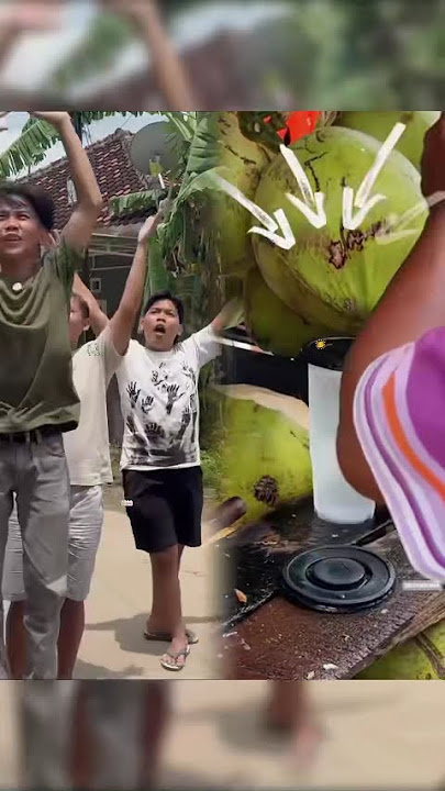 Did you guys like this when you were little too, when there was a plane you would always scream f...