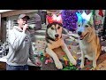 Huskies Ring in the New Year