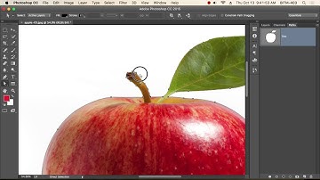 16th Class Batch 21 Clipping Path