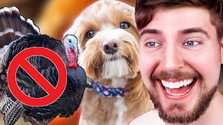 MrBeast Kills 10,000 Dogs for Thanksgiving!