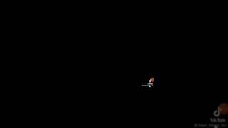 Neden Mi̇ Türk Kedi̇leri̇ Kedi̇ler Her Şeydi̇r