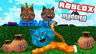 УКРАЛИ СИЛУ У СУПЕРГЕРОЕВ! ДВА КОТА ФЛЭША СБЕЖАЛИ ИЗ ТЮРЬМЫ! Roblox Побег Котик Игроман / Кот Лайк УКРАЛИ СИЛУ У СУПЕРГЕРОЕВ! ДВА КОТА ФЛЭША СБЕЖАЛИ ИЗ ТЮРЬМЫ! Roblox Побег Котик Игроман / Кот Лайк
