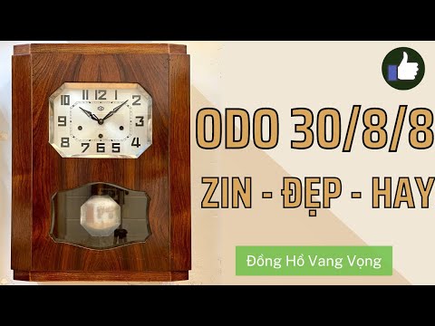 Đồng Hồ ODO