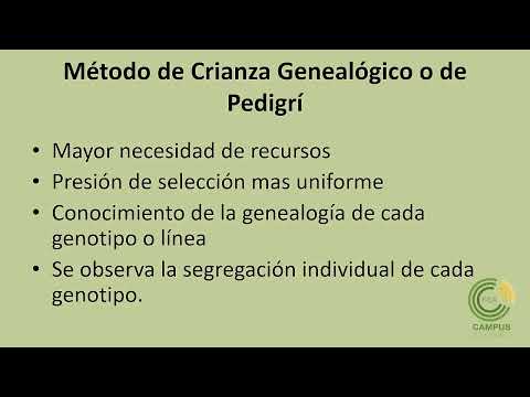 Video: ¿Cómo son útiles las semillas apomícticas para los agricultores?