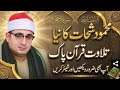 لا يستوي أصحاب النار وأصحاب الجنة تلاوة خاشعة تهز القلوب محمود شحات أنور 