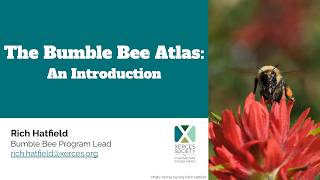 Part 1:  Introduction to the Bumble Bee Atlas 2026