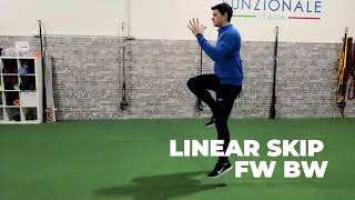 Linear Skip Fw Bw
