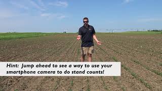 Soybean Replant Decisions and the Bean Cam free app screenshot 1