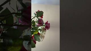 🫣🔮PISCES-FUTURE &amp; OR LOVE READING #tarot #foryou #asmr #god #pisces #trending #viral #love #joy