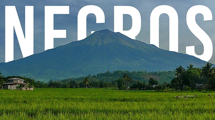 History of Negros | The Negros Museum Bacolod City...