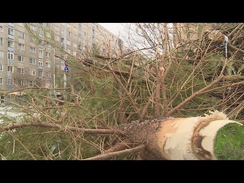 Videó: Hogyan díszíthetjük a fát hagyományos díszek nélkül?