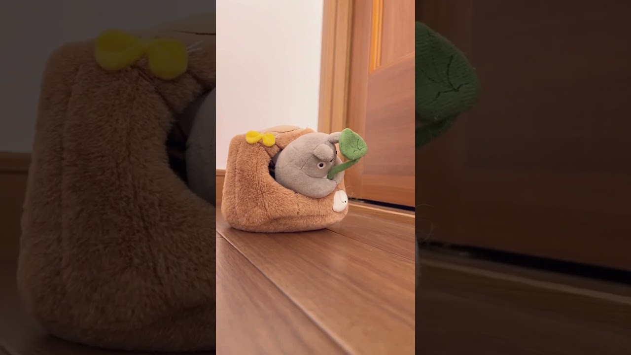 リスに追い出されたトトロ #shorts