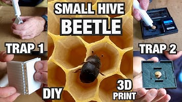 A Cheap Alternative Small Hive Beetle Solution