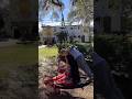 Country life in USA #bollywood #arijitsingh #music #love #movie #longhair #minivlog #usateluguvlogs