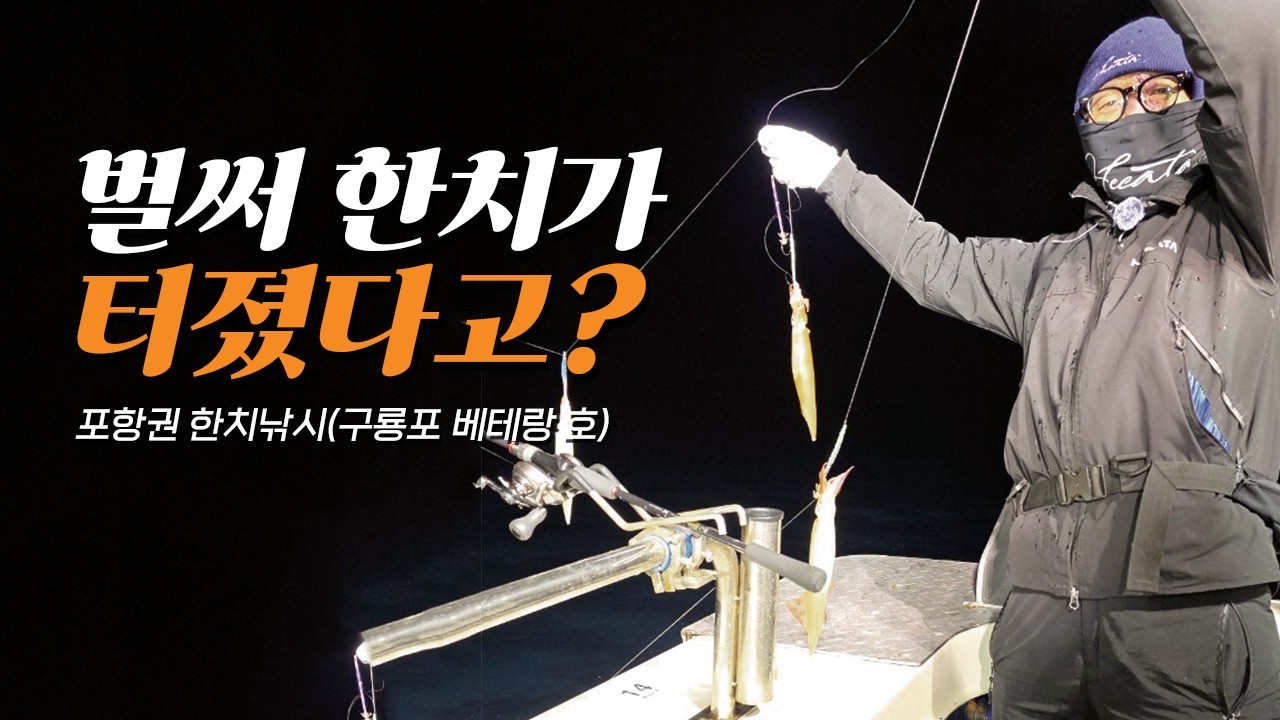 벌써 한치가 터졌다고?(포항권 한치낚시)