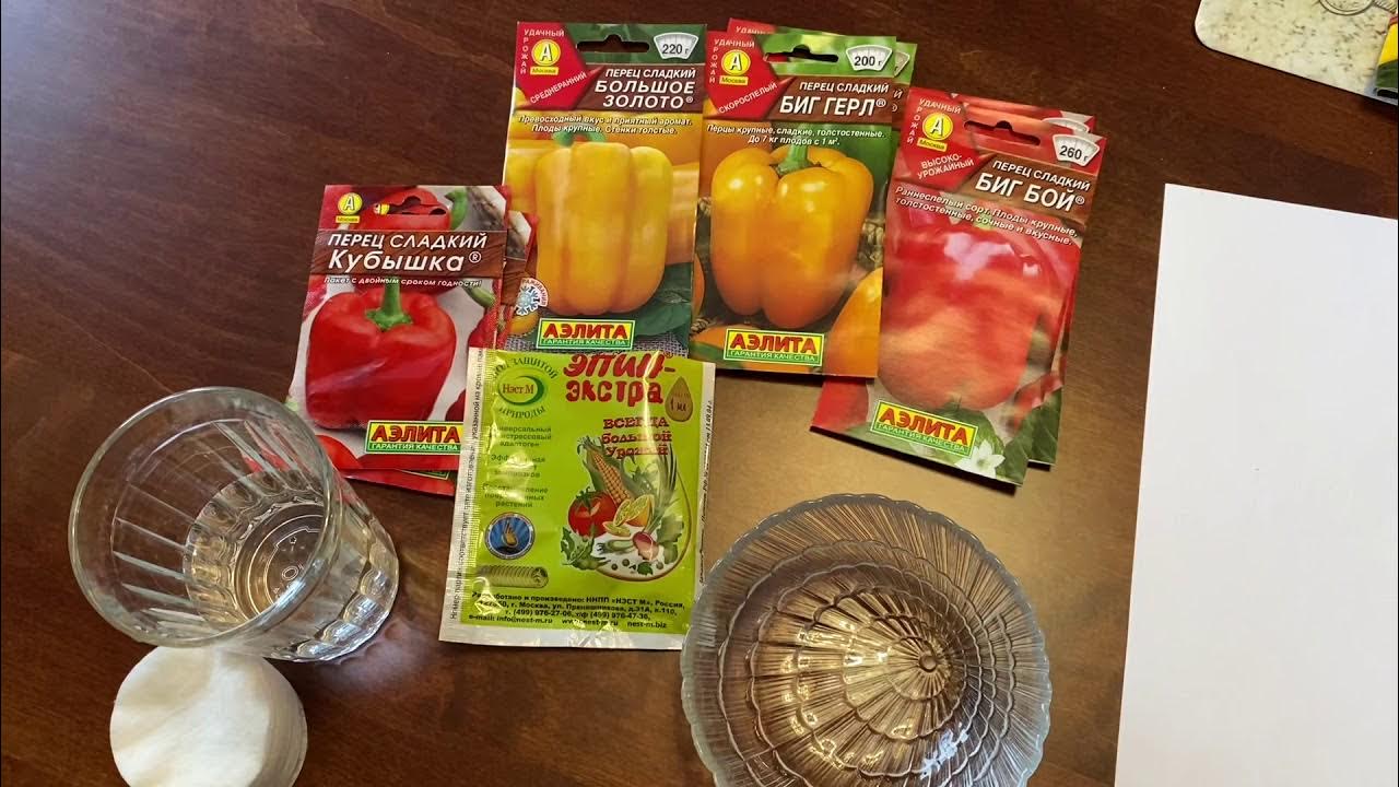 Как замочить семена томатов в эпине