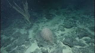 NA149_H1963_(9of12)_20230607_121245Z