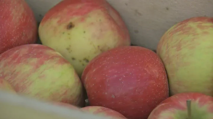 Why Are Honeycrisp Apples More Expensive?