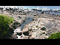 JAPANESE ISLAND DRONE FLIGHT YAKUSHIMA!